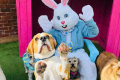 easter-fun-02-min