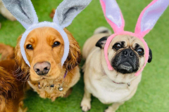 easter-fun-03-min