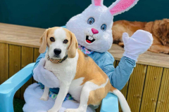 easter-fun-05-min