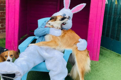 easter-fun-06-min