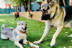 august-2022-blog-gallery-08-min