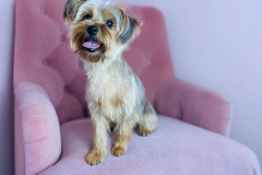 nov-2023-best-pictures-02-min