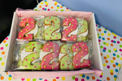 faye-2year-birthday-gallery-04-min
