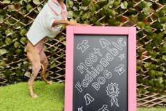 fdb-5th-birthday-01-min