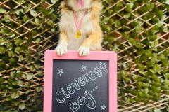 fdb-5th-birthday-02-min