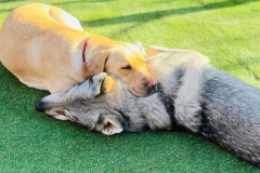 feb-2023-roundup-06-min