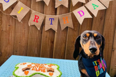 feb-2023-birthdays-01-min