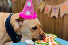 feb-2023-birthdays-02-min