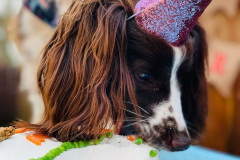 feb-2023-birthdays-03-min