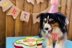 feb-2023-birthdays-04-min