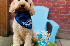 feb-2023-birthdays-05-min