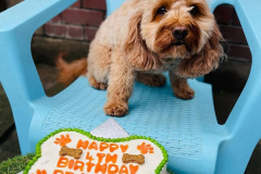 feb-2023-birthdays-06-min