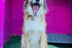 feb-2024-best-images-06-min