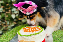 feb-2024-birthdays-03-min