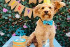 june-2025-birthdays-01-min