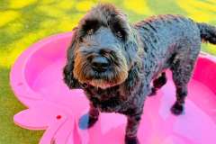 cooling-off-pool-2025-02-min