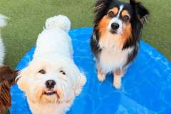 cooling-off-pool-2025-03-min