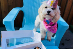 fdb-march-2022-birthdays-01-min