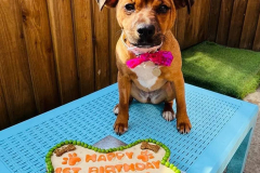 fdb-march-2022-birthdays-03-min
