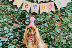 may-2023-birthdays-02-min