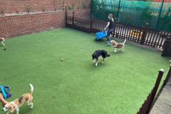 fdb-new-astroturf-03