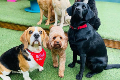 2_nov-2023-birthdays-04-min