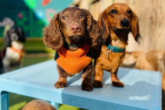 fbd-oct-2024-best-pics-08-min