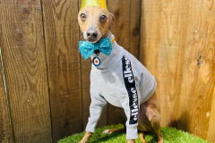 pops-birthday-01-min