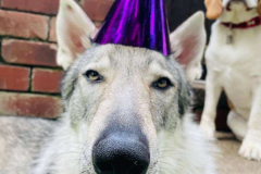 sept-2022-birthdays-04-min