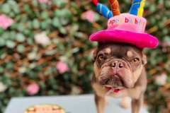 september-birthdays-2025-02-min