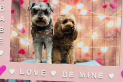 valentines-2023-img-03-min