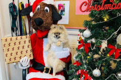 santa-visit-dec-2021-03-min